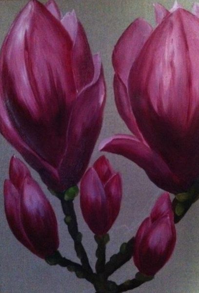 Flower — magnolia