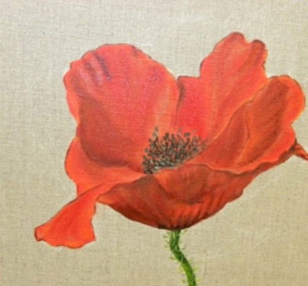 Flower — red