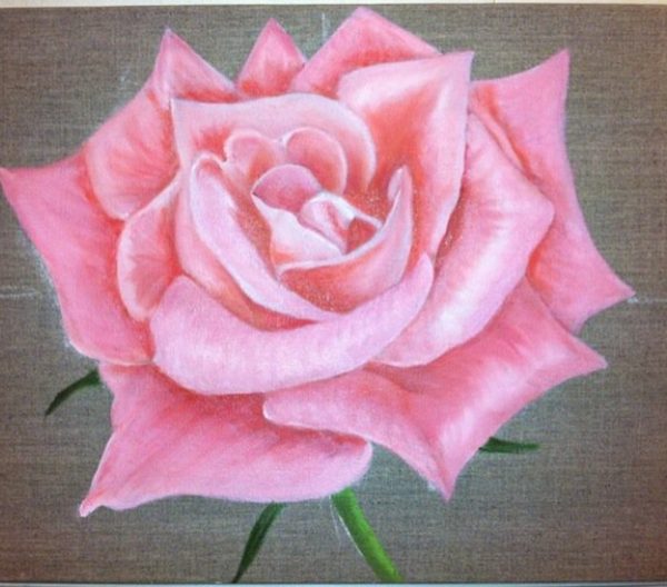 Flower — rose